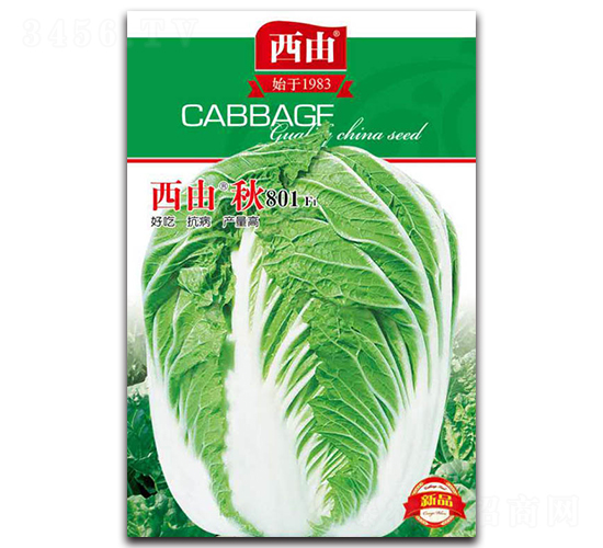 ������801-�ײ˷N��-����