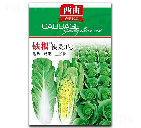 �F�����3̖-�ײ˷N��-����