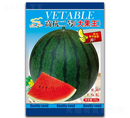 �߿���̖-���ϷN��-(li��n)��(chu��ng)