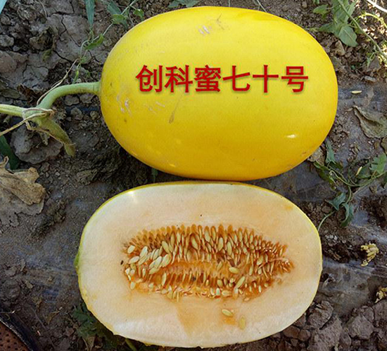 ��(chu��ng)������ʮ̖(h��o)-��ϷN��-(li��n)��(chu��ng)