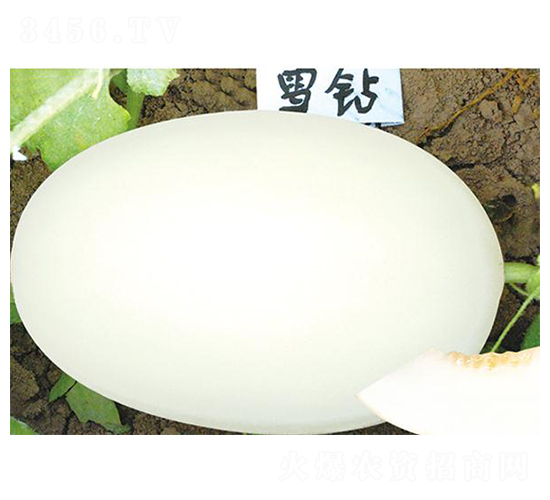 ѩ�@-��ϷN��-(li��n)��(chu��ng)