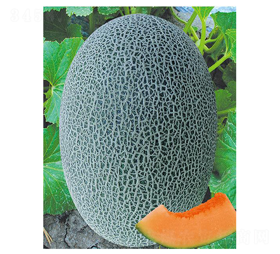 ������һ̖(h��o)-��ϷN��-(li��n)��(chu��ng)