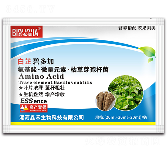 ���Ʊ̶��-�κ�����