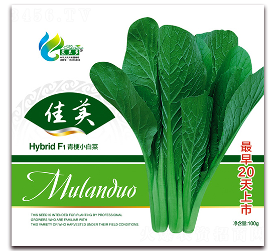 ����-�๣С�ײ˷N��-Ľ�m��