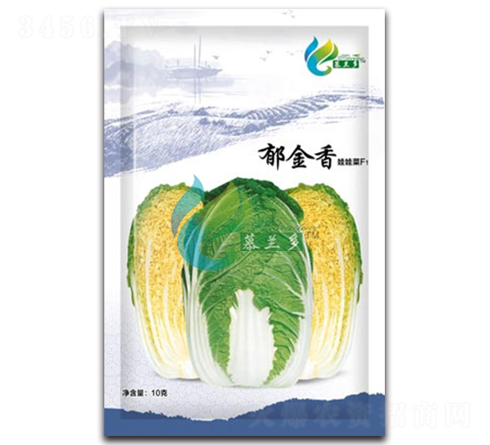 ������-���޲˷N��-Ľ�m��