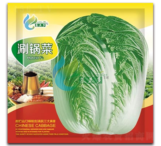 ��偲�-�ײ˷N��-Ľ�m��