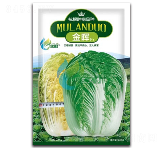 ��-�ײ˷N��-Ľ�m��