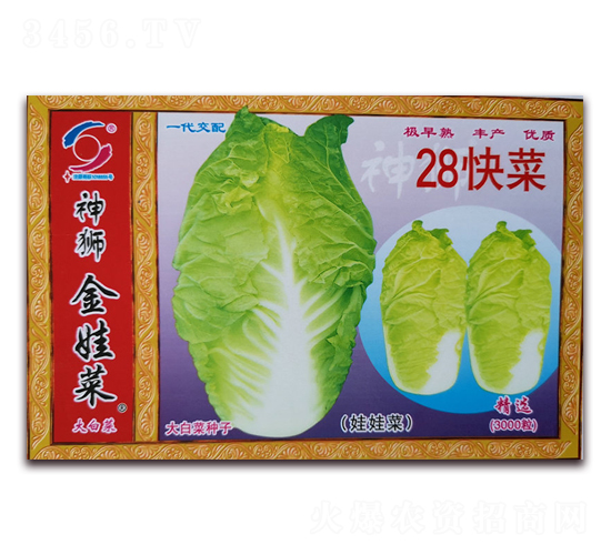 28���-�ײ˷N��-�����o