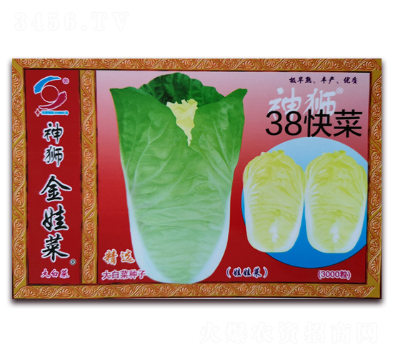 38���-�ײ˷N��-�����o(j��)