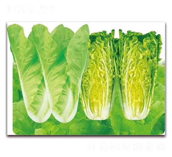 ���Ϳ��-�ײ˷N��-�����o(j��)