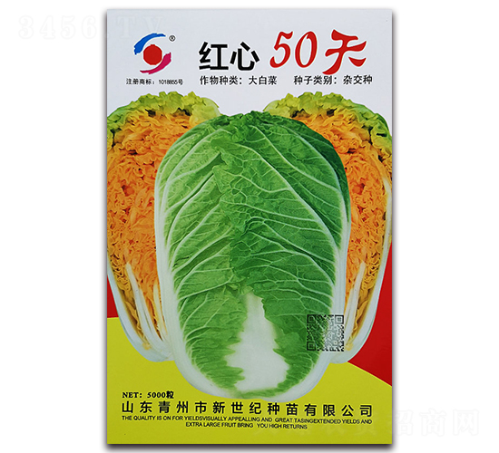 �t��50��-��ײ˷N��-�����o