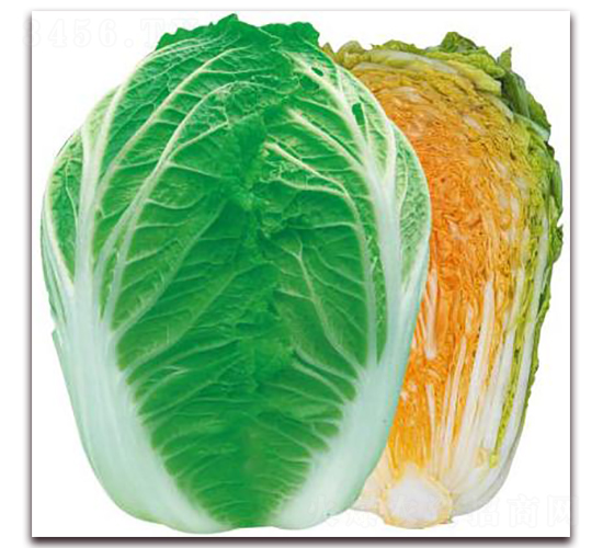 ��{�ۼt��-��ײ˷N��-�����o(j��)