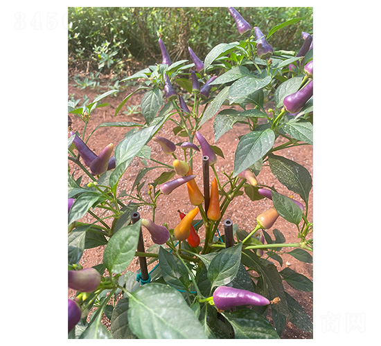 �����^�p�������b��-�����N��-�����N�I(y��)