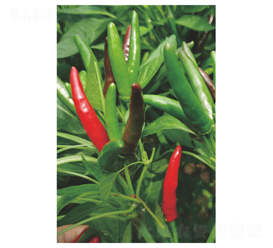 ����152-�����N��-�����N�I(y��)