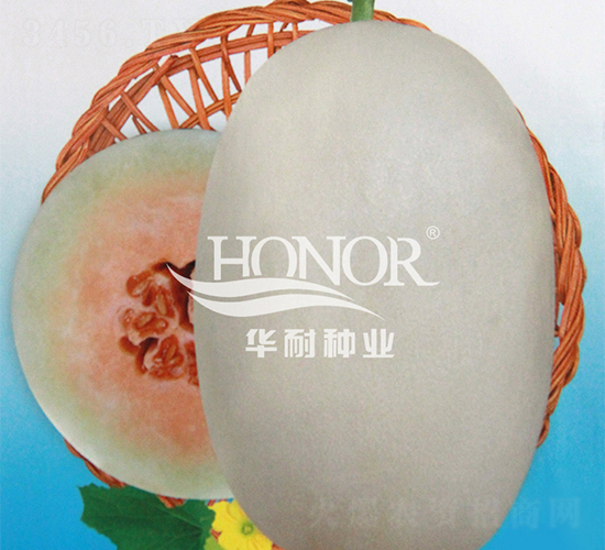 ������-��ϷN��-�A�ͷN�I(y��)