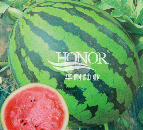 �A������һ̖-���ϷN��-�A�ͷN�I(y��)