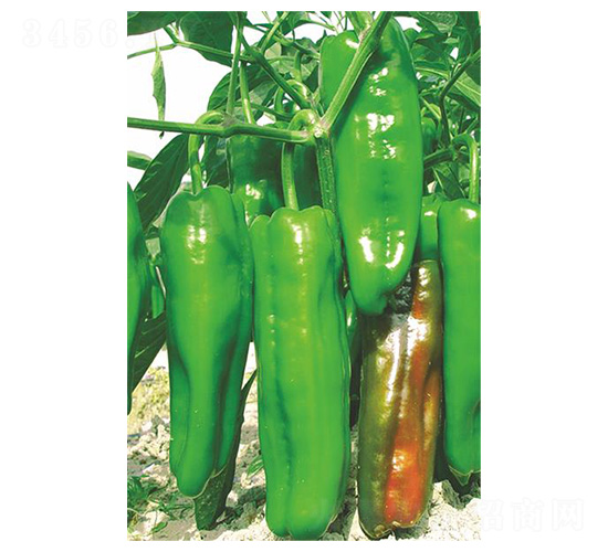 �ش󴨽�-ţ�ǽ��N��-�����N�I(y��)