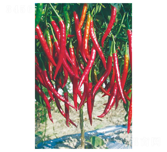 ��ؕ��-�⽷�N��-�����N�I(y��)