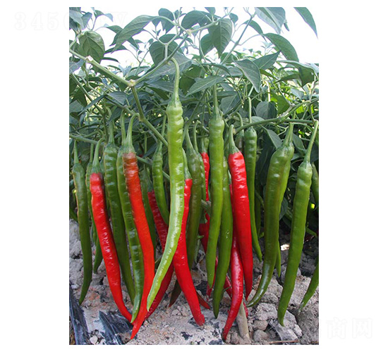 �ļ���-�����N��-�����N�I(y��)