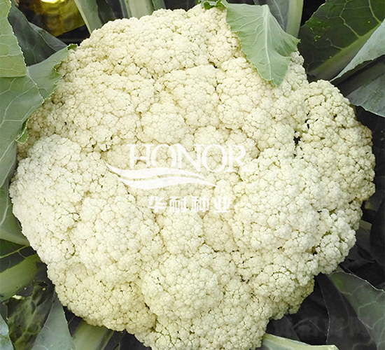 �A���ɻ�100-���˷N��-�A�ͷN�I(y��)