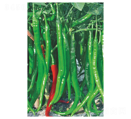 �ֱ110-�����N��-�����N�I(y��)