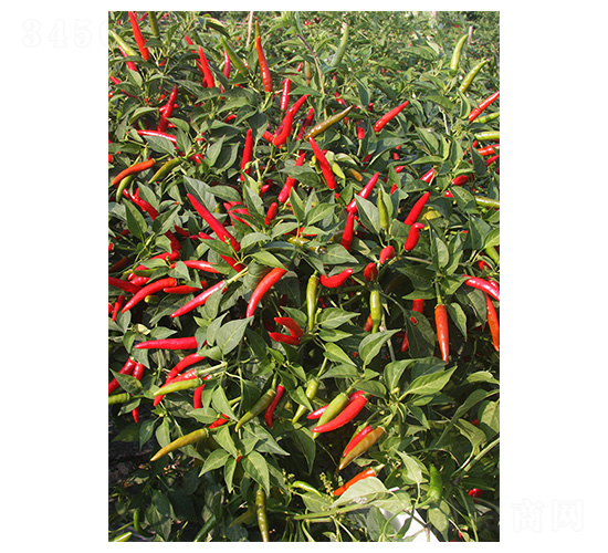 ӡ��18-���콷�N��-�����N�I(y��)