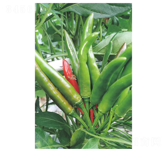 ����153-���콷�N��-�����N�I(y��)