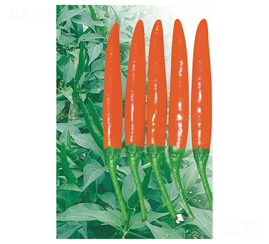 ��������-���콷�N��-�����N�I(y��)