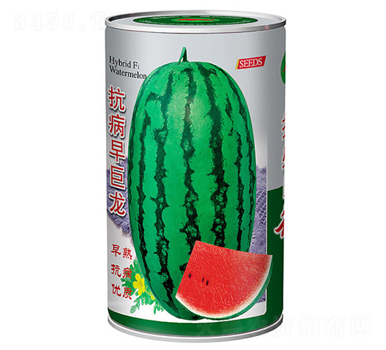 ���������-���ϷN��-��ʢ�N�I(y��)