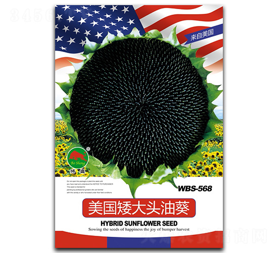 ����(gu��)�����^�Ϳ�-�����N��-��ʢ�N�I(y��)