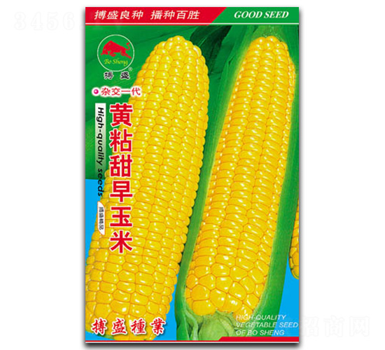 �Sճ��������-���׷N��-��ʢ�N�I(y��)