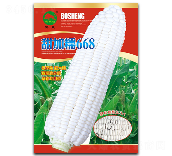 ���Ŵ668-���׷N��-��ʢ�N�I(y��)