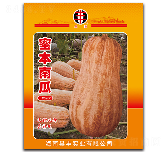 �۱��Ϲ�-�ϹϷN��-���P��