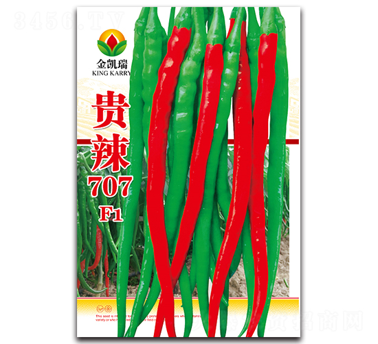 �F��707F1-�����N��-���P��