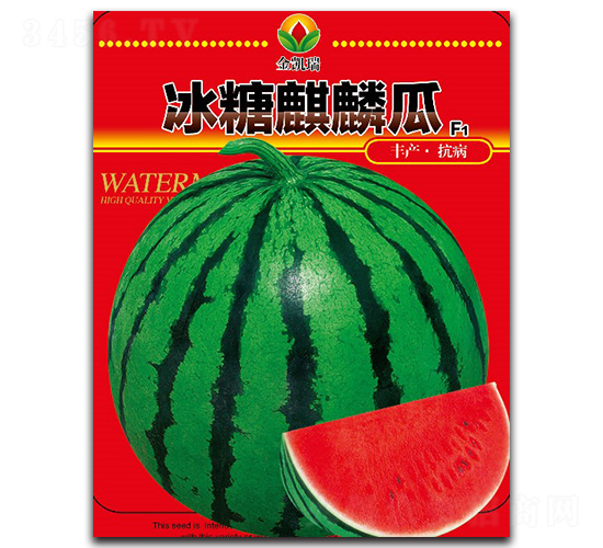 ���������-���ϷN��-���P��