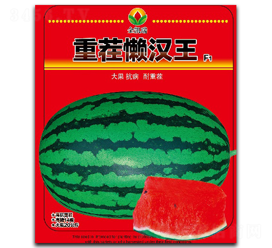 �ز�Нh��-���ϷN��-���P��