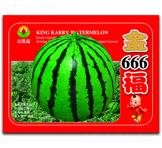 ��666��-���ϷN��-���P��