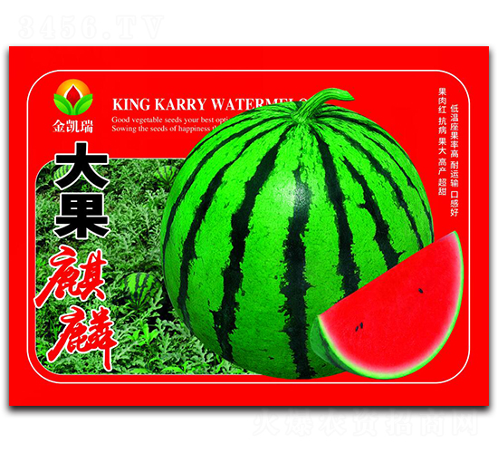 �������-���ϷN��-���P��