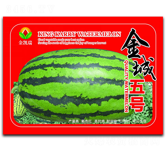 �����̖-���ϷN��-���P��