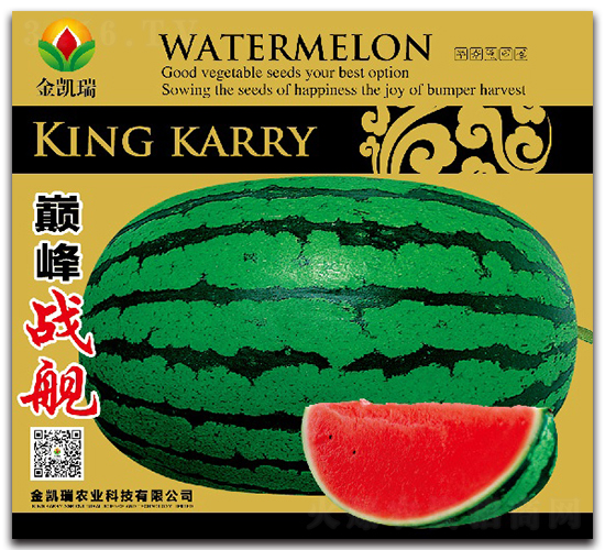 �p���(zh��n)Ş�N��-���ϷN��-���P��