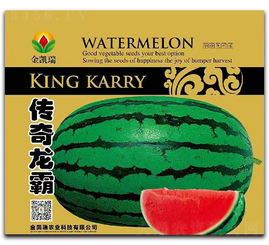 ��������-���ϷN��-���P��