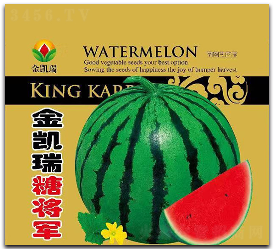 ���P���ǌ�܊-���ϷN��-���P��