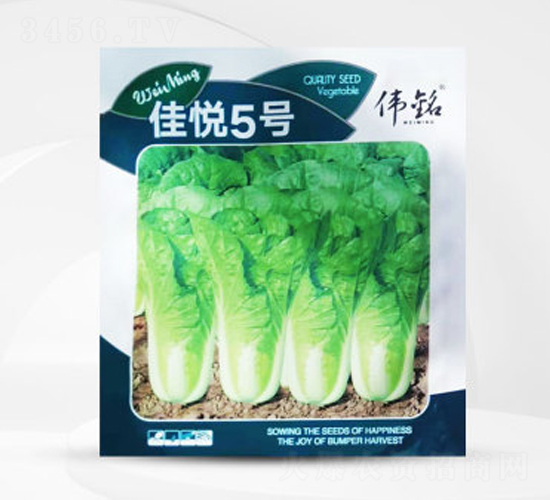 �ѐ���̖(h��o)-�ײ˷N��-��㑷N�I(y��)