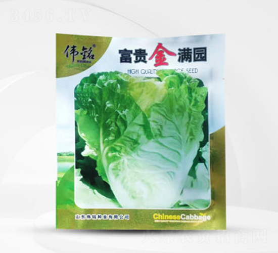 ���F��M�@-�ײ˷N��-��㑷N�I(y��)