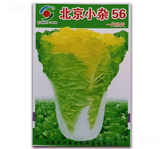 ����С�s56-�ײ˷N��-�����o