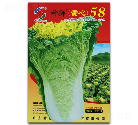 ��{�S��58-�ײ˷N��-�����o(j��)