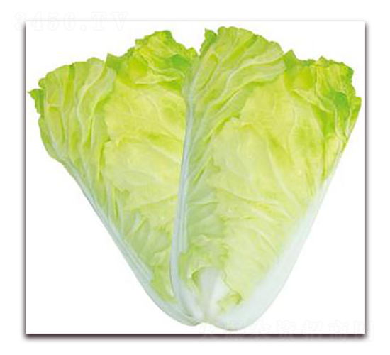 ����30-�ײ˷N��-�����o(j��)