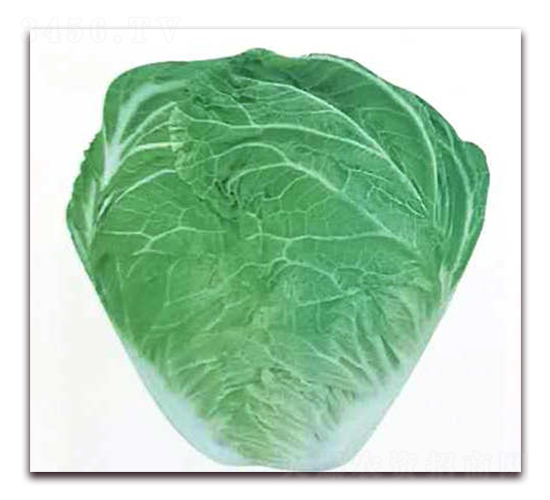 ��{�¶�̖(h��o)-�ײ˷N��-�����o(j��)