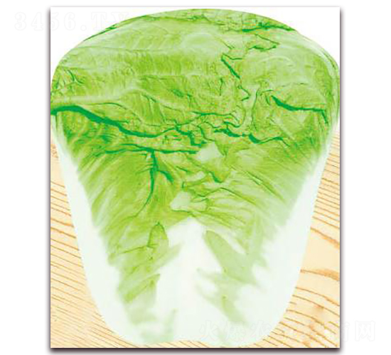 ��{120-�ײ˷N��-�����o(j��)