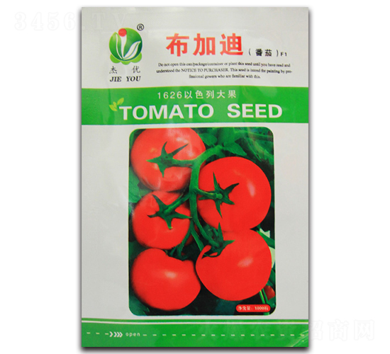 ���ӵ�-���ѷN��-�܃�(y��u)�N�I(y��)